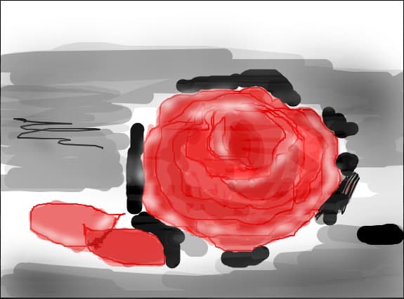 rose
