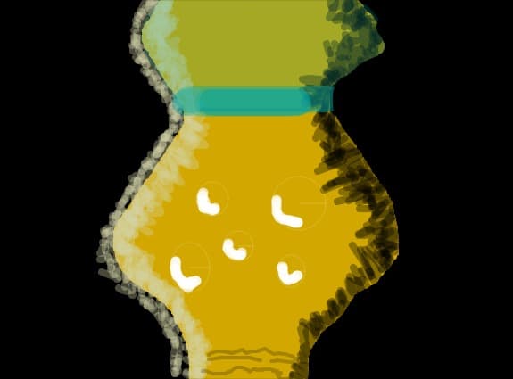 Suc