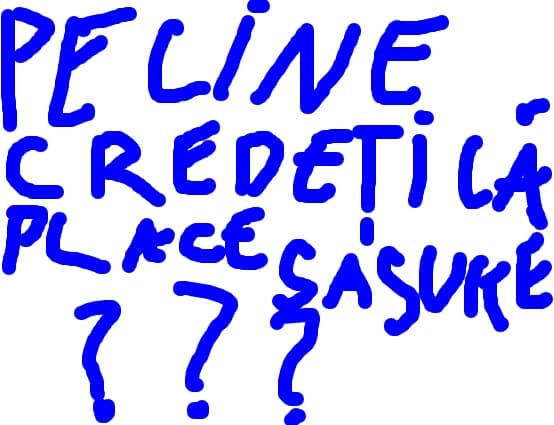 pe cine credeti ca place sasuke???