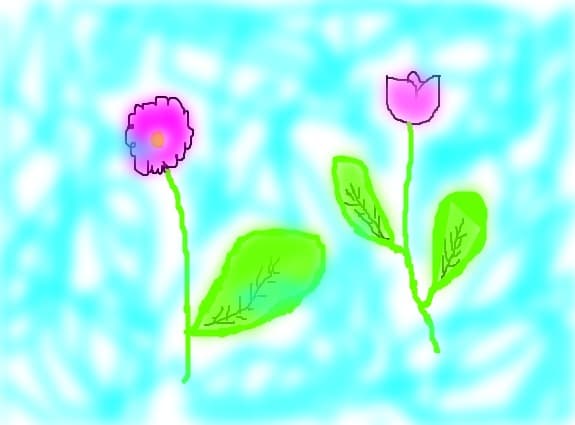 2 flori