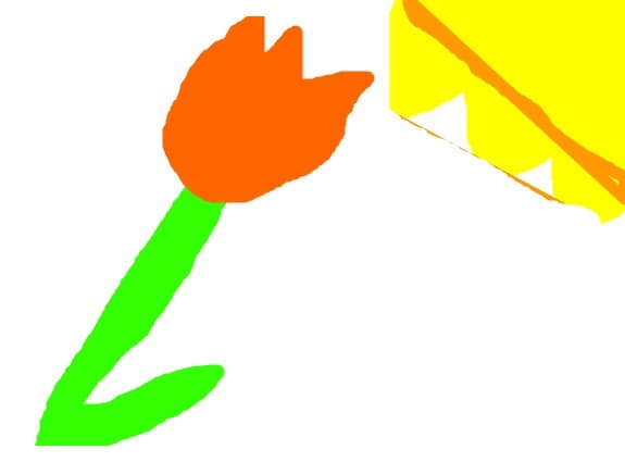 o floare si soare