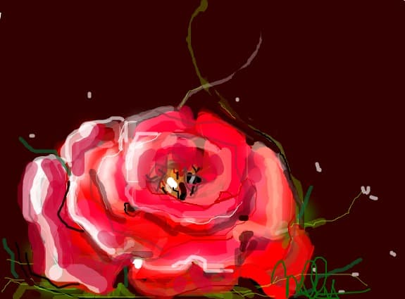 ROZE
