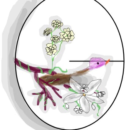 martisor