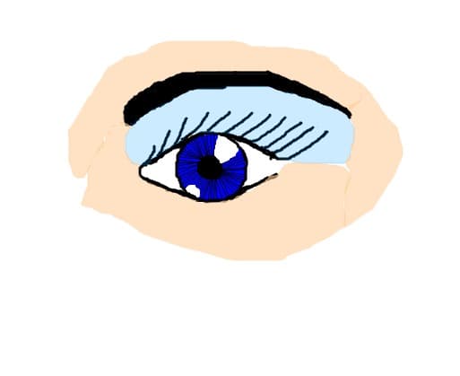 ochi