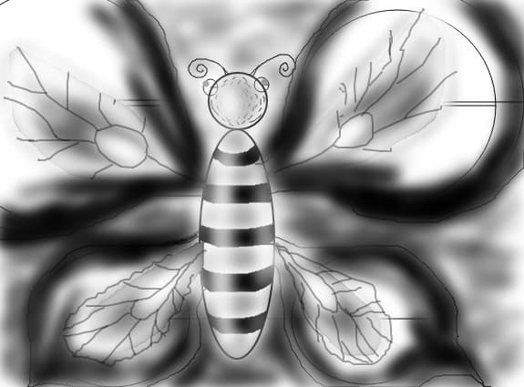 butterfly