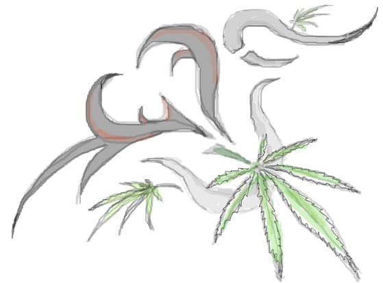 verde D