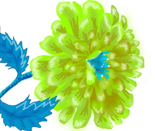Lime and Turquise