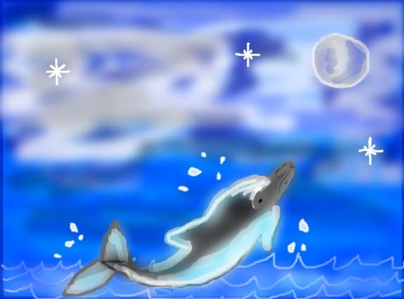 ...delfin...