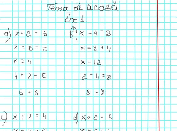 Tema de acasa