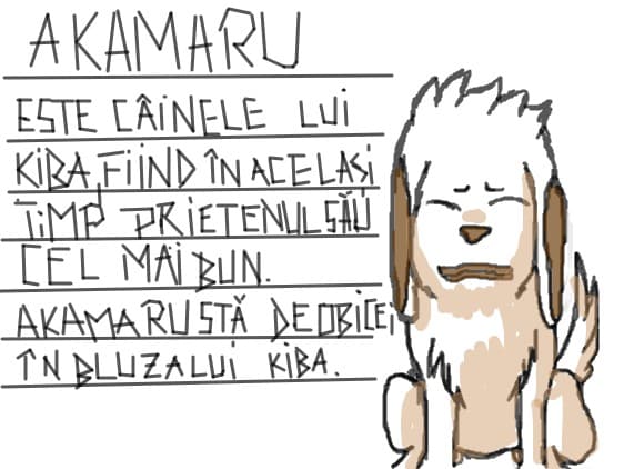 akamaru