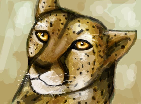 Ghepard