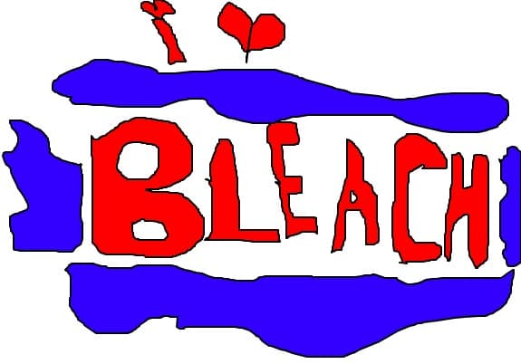 i love bleach