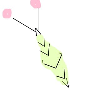 fluture