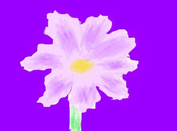 o floare