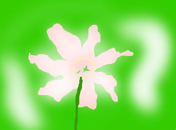 o floare