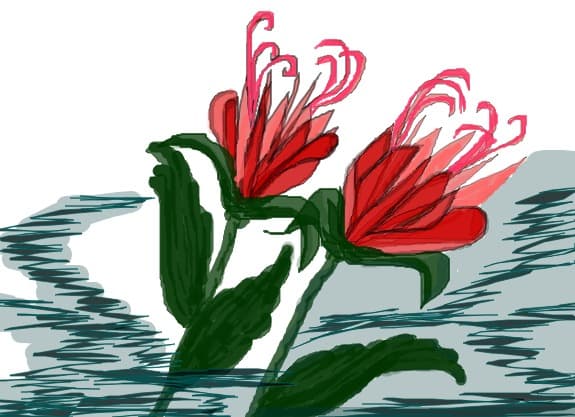 floricele