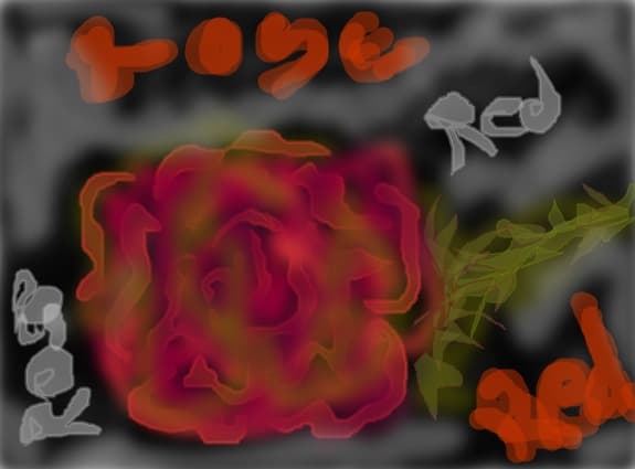 rose red