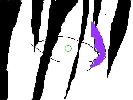 orochimaru surprins