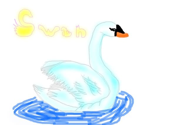 Swan