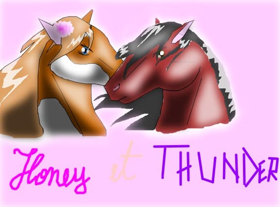 honey et thunder