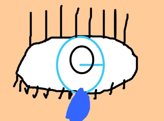 eye