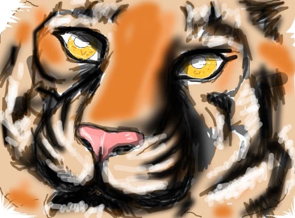 a tiger