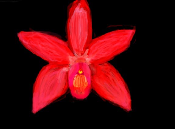 Desen 34103 modificat:floare
