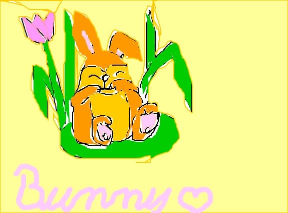 bunny
