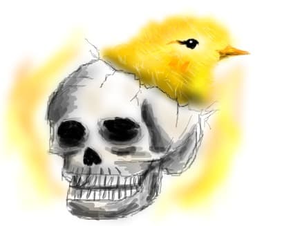 skull