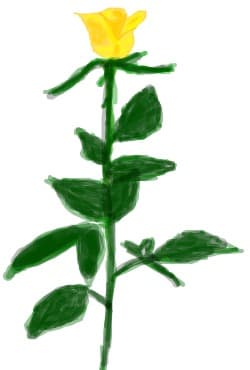 Trandafir