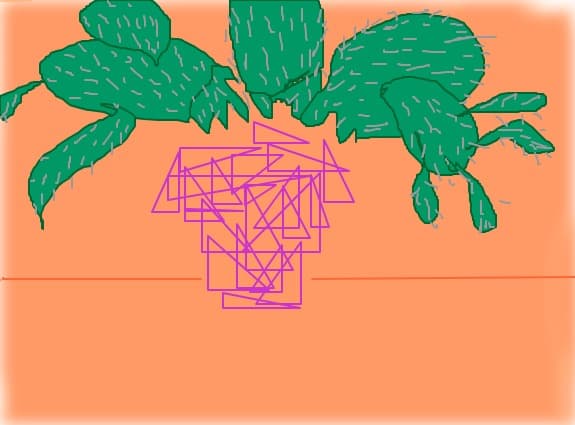 cactus