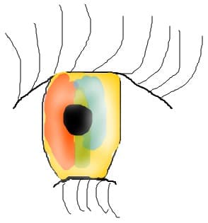 aaa