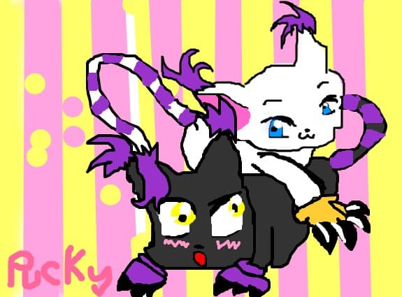 kitty
