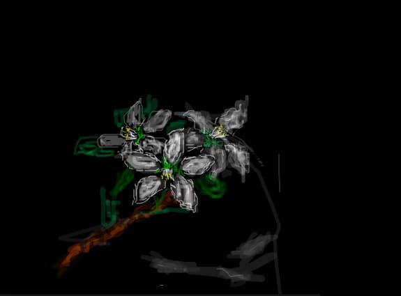 floare