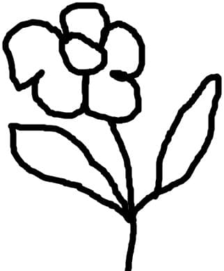floare