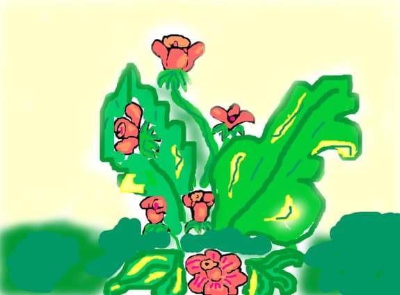 florile din gradina mea