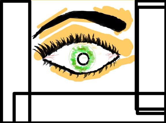 The eye