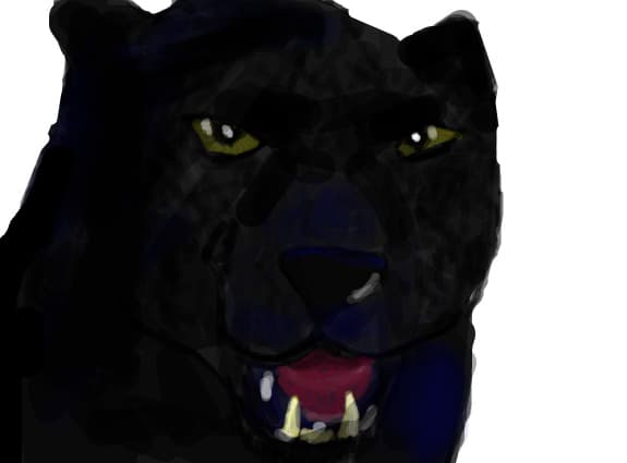 pantera