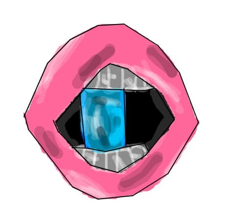 bizi