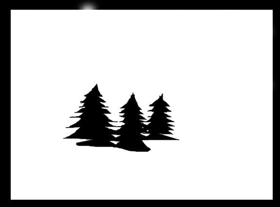 In forest
