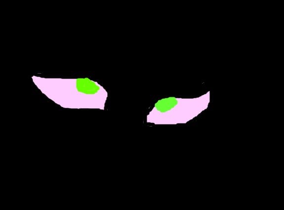 puma eyes