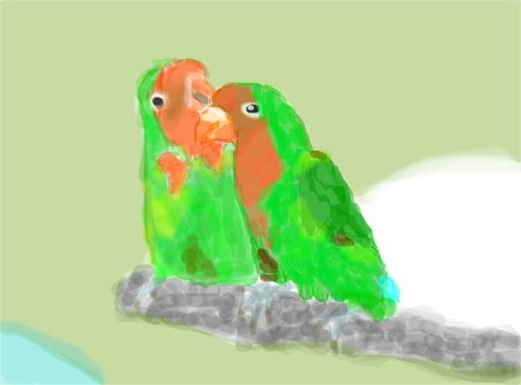 parrot