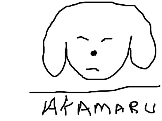 akamaru