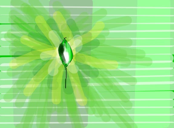 MINUNATA lume verde!....acea lumina din partea  dreapta este soarele..