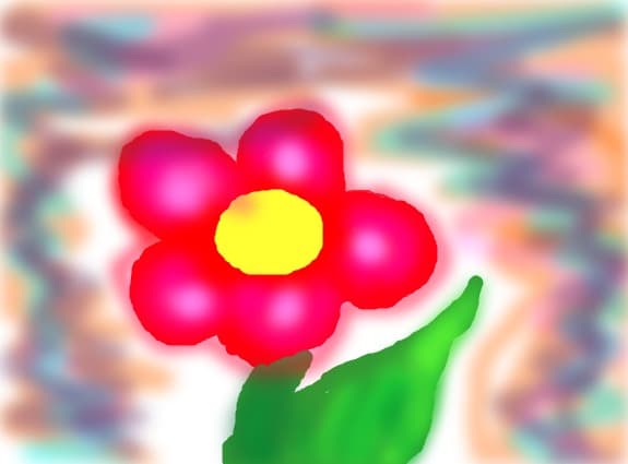 o floare