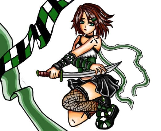 The Beautiful Ninja