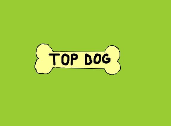 Top Dog