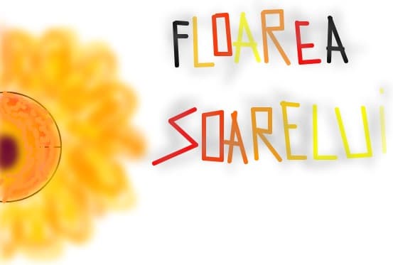 floarea soarelui