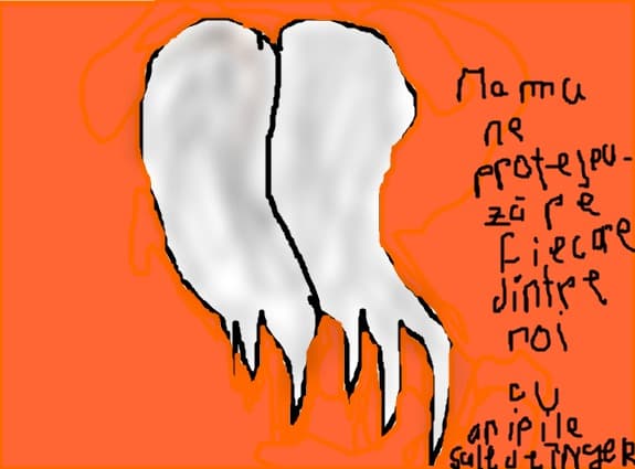 aripile maei