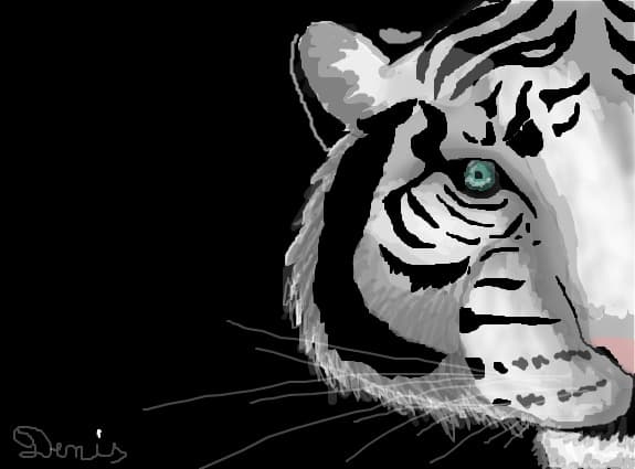 my favourite animal